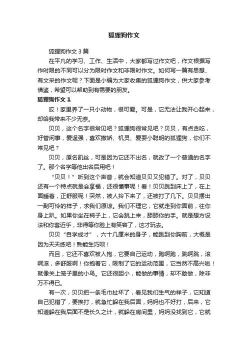 狐狸狗作文3篇