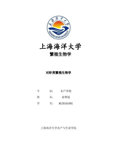 对虾