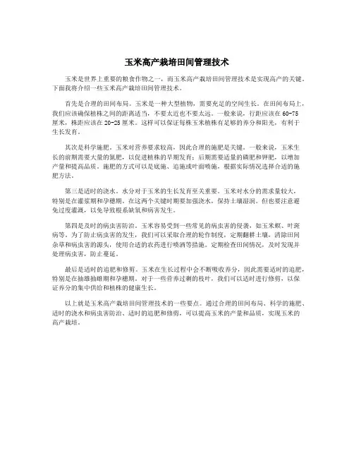玉米高产栽培田间管理技术