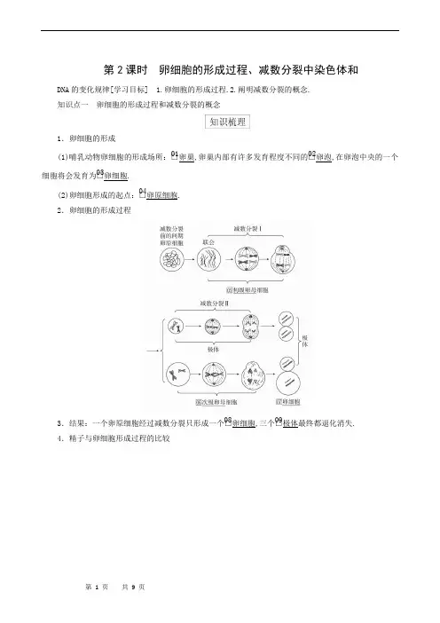 人教版高中生物必修2同步学习-第2章 第1节 第2课时  卵细胞的形成过程、减数分裂中染色体