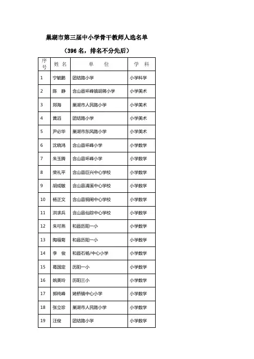 巢湖市第三届中小学骨干教师人选名单