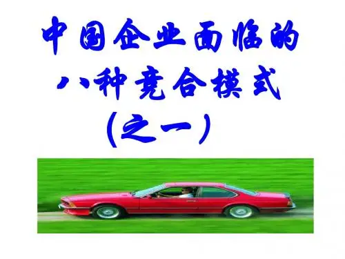 中国企业面临的八种竞合模式-PPT文档资料