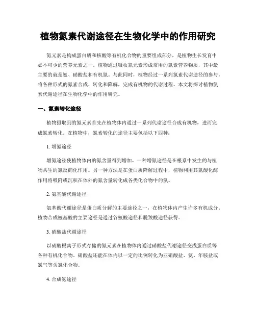 植物氮素代谢途径在生物化学中的作用研究