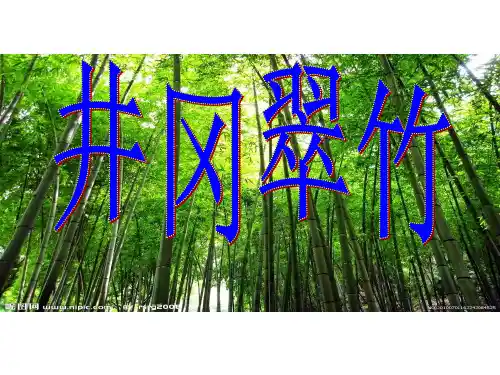 六年级下册语文课件-课文5 井冈翠竹｜鄂教版 (共30张PPT)