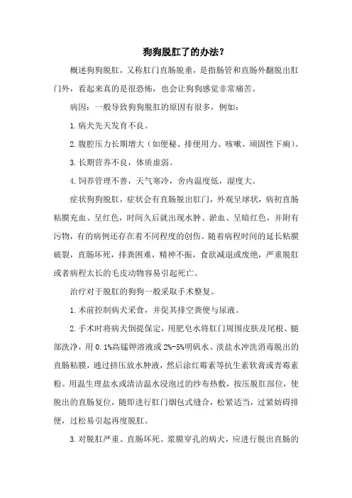 狗狗脱肛了的办法？