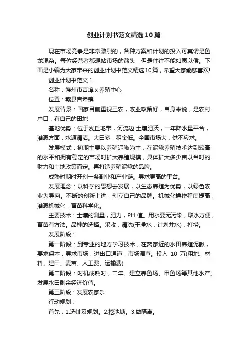 创业计划书范文精选10篇