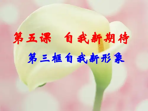 自我新形象ppt优秀课件6 人教版