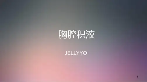 胸腔积液 PPT课件