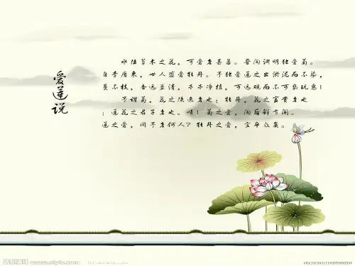 《蔷薇几度花》