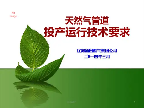 天然气管道投产运行技术要求、PPT课件
