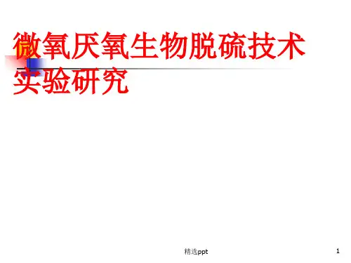 生物脱硫技术的应用PPT课件