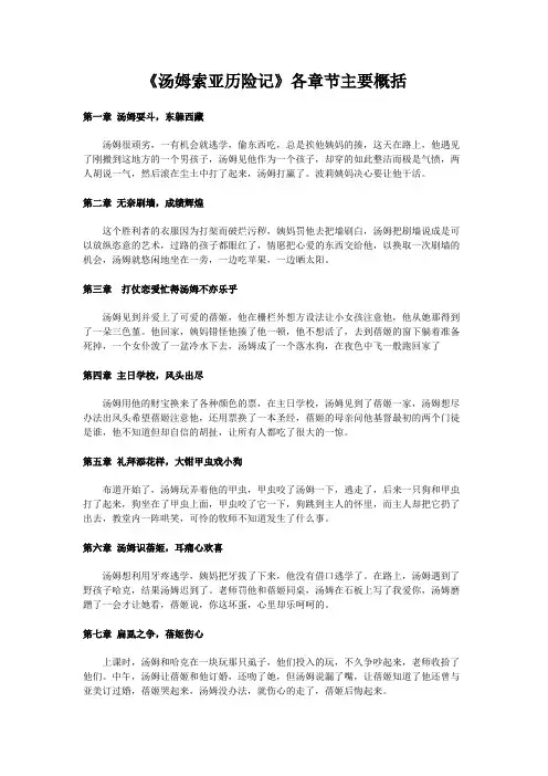 《汤姆索亚历险记》各章节主要概括