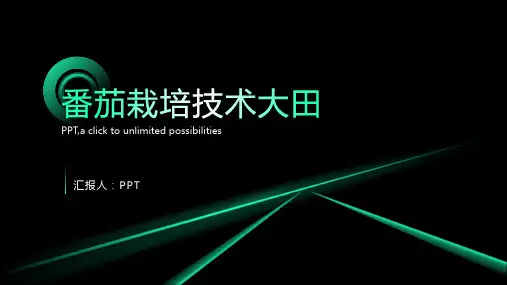《番茄栽培技术大田》课件