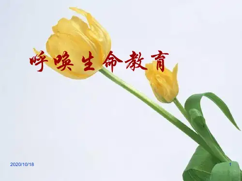 呼唤生命教育ppt-粤教版必修四PPT优选课件