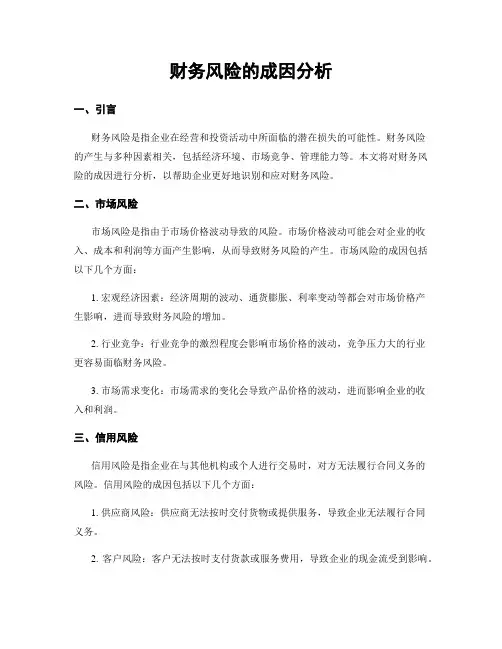 财务风险的成因分析
