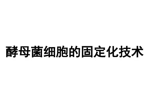 酵母菌细胞的固定化技术