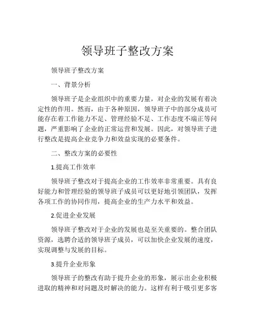 领导班子整改方案