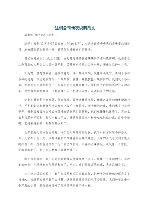 注销公司情况说明范文