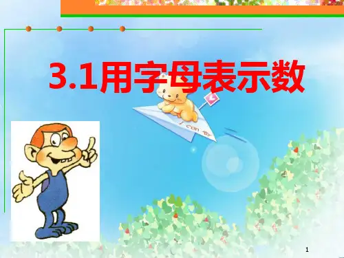 《用字母表示数》PPT5  图文
