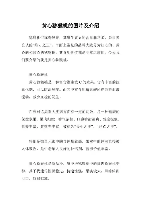 黄心猕猴桃的图片及介绍
