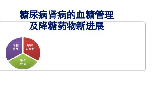 糖尿病肾病的血糖管理 ppt课件