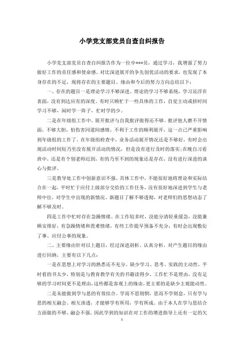小学党支部党员自查自纠报告