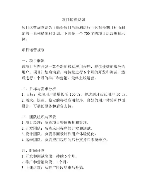 项目运营规划