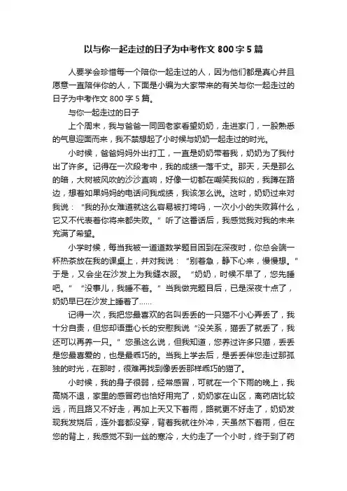 以与你一起走过的日子为中考作文800字5篇