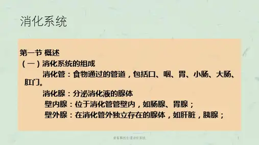 家畜解剖生理消化系统课件