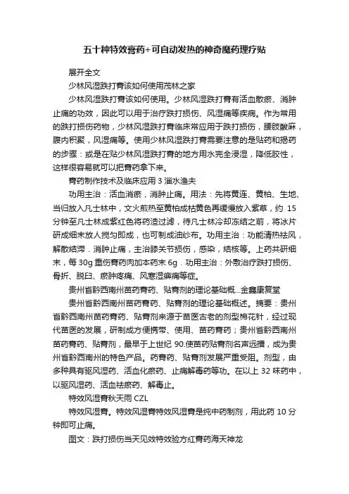 五十种特效膏药+可自动发热的神奇魔药理疗贴