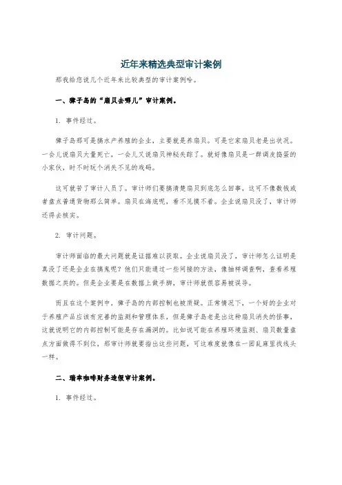 近年来精选典型审计案例
