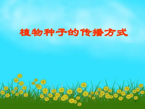 植物种子的传播方式ppt课件