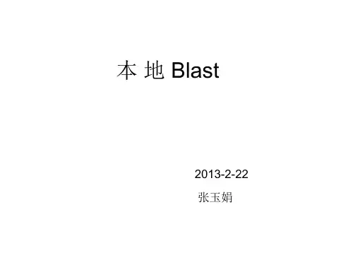 本地blast使用