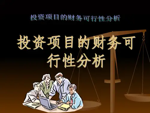 投资项目的财务可行性分析