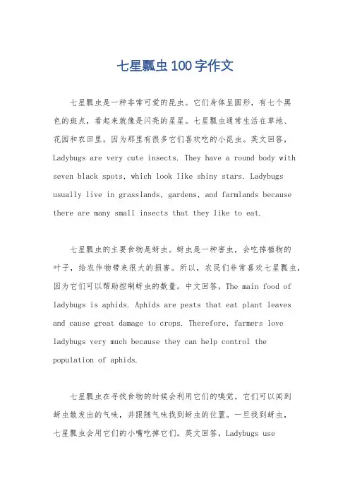七星瓢虫100字作文