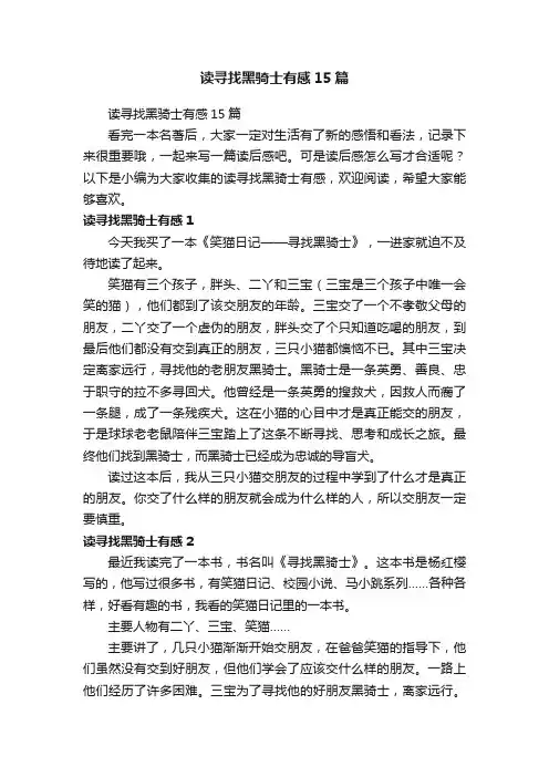 读寻找黑骑士有感15篇