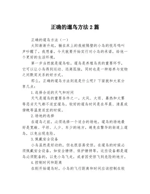 正确的遛鸟方法2篇