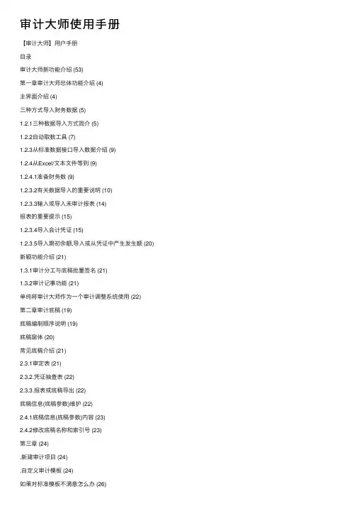 审计大师使用手册