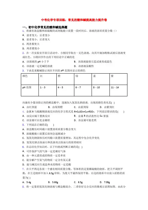 中考化学专项训练：常见的酸和碱提高能力提升卷