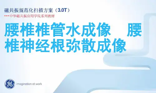 椎管水成像规范化扫描方案 -优秀医学PPT课件