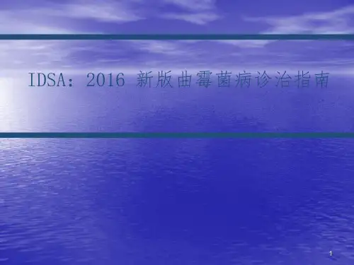 曲霉菌病诊治指南ppt课件