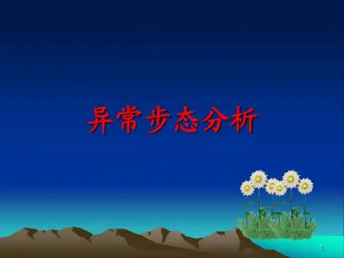 步态分析 (1)