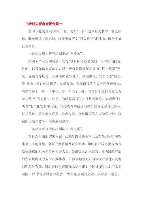 三转回头看自查报告篇一