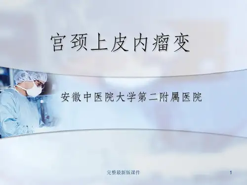 宫颈上皮内瘤变ppt课件