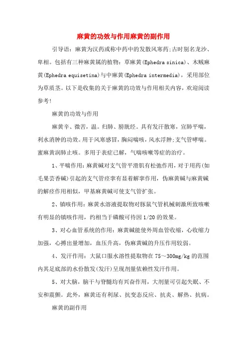 麻黄的功效与作用麻黄的副作用
