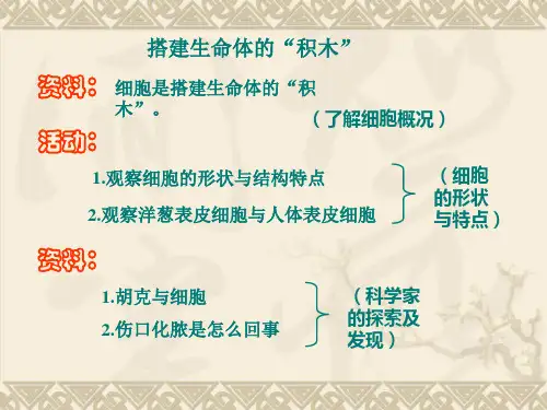 搭建生命体的积木PPT课件