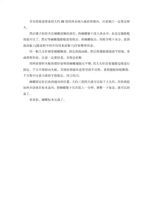 制作蝴蝶标本的详细指南