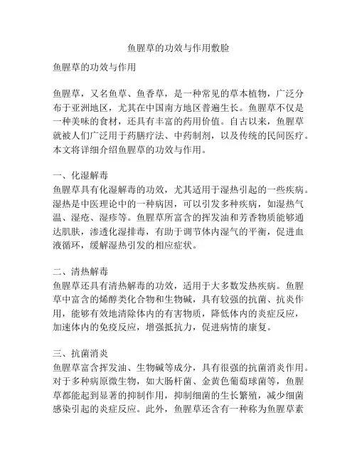 鱼腥草的功效与作用敷脸
