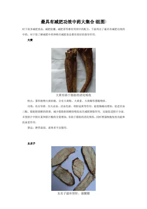 最具有减肥功效中药大集合