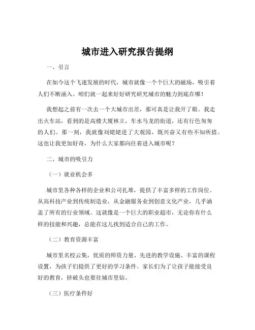城市进入研究报告提纲